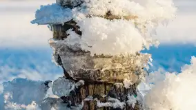 Zimowa rzeka Dajna niedaleko Wilkowa, styczeń 2024 r. - zdjęcie 43