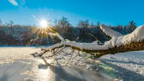 Zimowa rzeka Dajna niedaleko Wilkowa, styczeń 2024 r. - zdjęcie 10