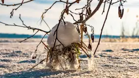 Zimowe jezioro Gołdopiwo w okolicach Przerwanek, styczeń 2024 r. - zdjęcie 47