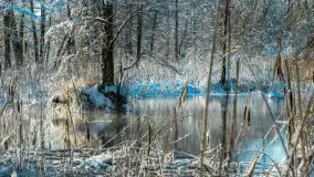 Zima nad rzeką Dajna, witajcie na bajecznych Mazurach, styczeń 2024 r. - zdjęcie 16