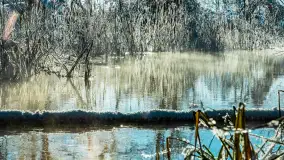 Zima nad rzeką Dajna, witajcie na bajecznych Mazurach, styczeń 2024 r. - zdjęcie 19