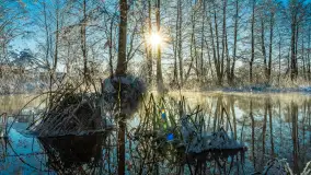 Zima nad rzeką Dajna, witajcie na bajecznych Mazurach, styczeń 2024 r. - zdjęcie 3