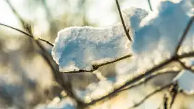 Zima nad rzeką Dajna, witajcie na bajecznych Mazurach, styczeń 2024 r. - zdjęcie 40