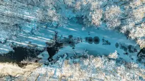 Zima nad rzeką Dajna, witajcie na bajecznych Mazurach, styczeń 2024 r. - zdjęcie 46