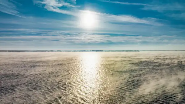 Zima nad jeziorem Dargin, styczeń 2024 r. - zdjęcie 10