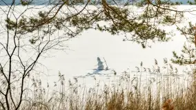 Biwak ekipy Mazury24 nad jeziorem Kruklin, styczeń 2024 r. - zdjęcie 7