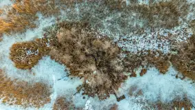 Wschód słońca z resztkami zimy nad jeziorem Siercze, styczeń 2024 r. - zdjęcie 25