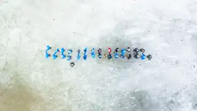 Morsy z Giżycka tradycyjne zatańczyły poloneza, styczeń 2024 r. - zdjęcie 47