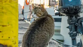 Wschód słońca w Bocianim Gnieździe, czerwiec 2023 r. - zdjęcie 23