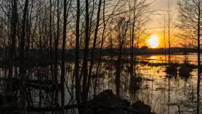Mazurski zachód słońca odbity w rozlewiskach, luty 2024 r. - zdjęcie 2