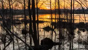 Mazurski zachód słońca odbity w rozlewiskach, luty 2024 r. - zdjęcie 18