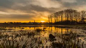 Zachód i rozlewiska przy Karolewie, luty 2024 r. - zdjęcie 6