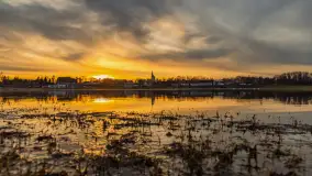 Zachód i rozlewiska przy Karolewie, luty 2024 r. - zdjęcie 31