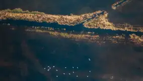 Zachód i rozlewiska przy Karolewie, luty 2024 r. - zdjęcie 30