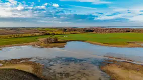 Przedwiośnie i mazurskie rozlewiska na polach i łąkach, luty 2024 r. - zdjęcie 13