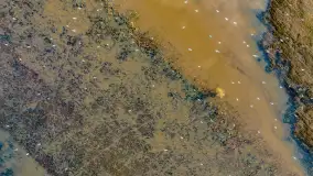 Przedwiośnie i mazurskie rozlewiska na polach i łąkach, luty 2024 r. - zdjęcie 32