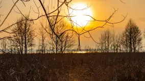 Zachód słońca nad Niegocinem, luty 2024 r. - zdjęcie 18