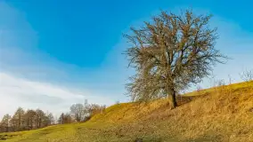 Przed zachodem słońca nad jeziorem Grajewko, luty 2024 r. - zdjęcie 25