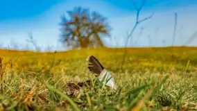 Przed zachodem słońca nad jeziorem Grajewko, luty 2024 r. - zdjęcie 38