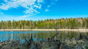 Jezioro Jagoczany, przedwiośnie, marzec 2024 r.  - zdjęcie 18