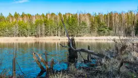 Jezioro Jagoczany, przedwiośnie, marzec 2024 r.  - zdjęcie 2