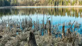 Jezioro Jagoczany, przedwiośnie, marzec 2024 r.  - zdjęcie 25