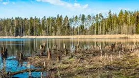 Jezioro Jagoczany, przedwiośnie, marzec 2024 r.  - zdjęcie 36