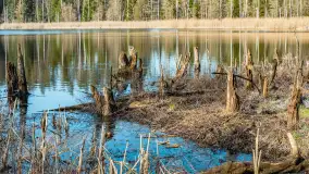 Jezioro Jagoczany, przedwiośnie, marzec 2024 r.  - zdjęcie 33