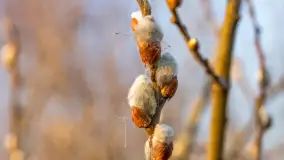 Zachód słońca nad stawami w Martianach, marzec 2024 r. - zdjęcie 14