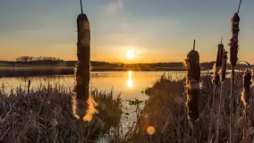 Zachód słońca nad stawami w Martianach, marzec 2024 r. - zdjęcie 6