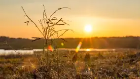 Zachód słońca nad stawami w Martianach, marzec 2024 r. - zdjęcie 22