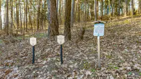 Marcowy dzień nad zatoką Skonał - zdjęcie 36