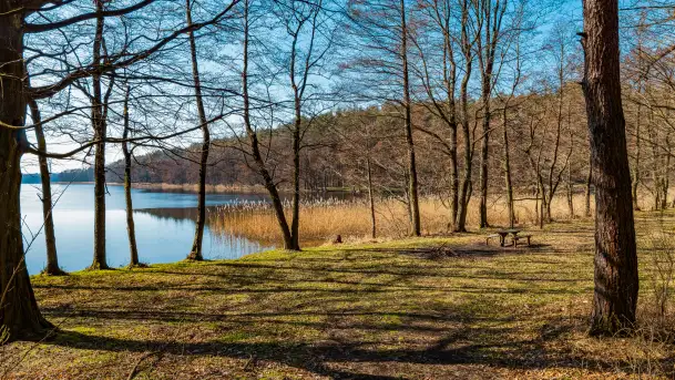 Marcowy dzień nad zatoką Skonał - zdjęcie 11