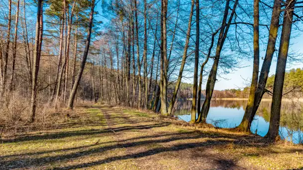 Marcowy dzień nad zatoką Skonał - zdjęcie 3
