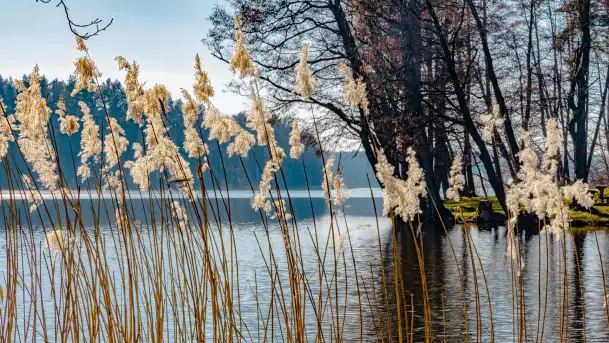 Marcowy dzień nad zatoką Skonał - zdjęcie 10