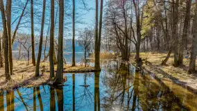 Marcowy dzień nad zatoką Skonał - zdjęcie 44