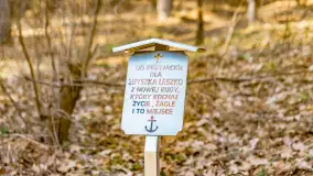 Marcowy dzień nad zatoką Skonał - zdjęcie 35