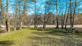 Marcowy dzień nad zatoką Skonał - zdjęcie 37