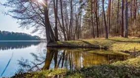 Marcowy dzień nad zatoką Skonał - zdjęcie 23