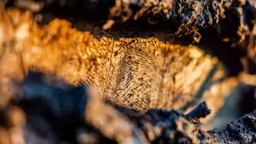 Zachód słońca nad Mazurskimi polami, Wopławki, marzec 2024 r. - zdjęcie 25