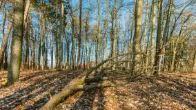 Jezioro Czarna Kuta i okolice, początek marca 2024 r. - zdjęcie 18