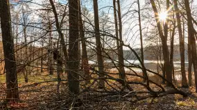 Jezioro Czarna Kuta i okolice, początek marca 2024 r. - zdjęcie 22