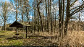 Jezioro Czarna Kuta i okolice, początek marca 2024 r. - zdjęcie 6