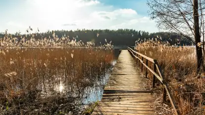 Jezioro Czarna Kuta i okolice, początek marca 2024 r.