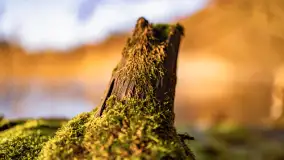 Zachód słońca w zatoce Skonał, nad jeziorem Tałty, marzec 2024 r. - zdjęcie 25