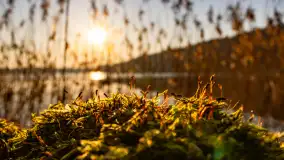 Zachód słońca w zatoce Skonał, nad jeziorem Tałty, marzec 2024 r. - zdjęcie 6