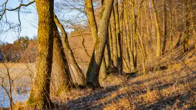 Zachód słońca w zatoce Skonał, nad jeziorem Tałty, marzec 2024 r. - zdjęcie 2