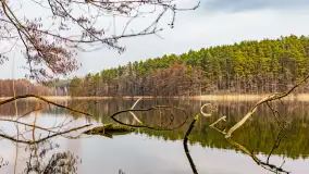 Mazurska przyroda w połowie marca 2024 r. - zdjęcie 20