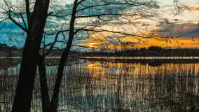 Zachód słońca nad jeziorem Głęboka Kuta, marzec 2024 r. - zdjęcie 10