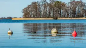 Port w Wierzbie u progu sezonu 2024 - zdjęcie 28